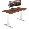 Vari Essential Electric Standing Desk for Home Office – 48×24 Sit-Stand VariDesk, 4 Memory Height Presets, 2-Piece Laminate Wood Top, Sturdy T-Style Legs, Supports 150 Lbs + Easy Assembly (Hazel Wood)